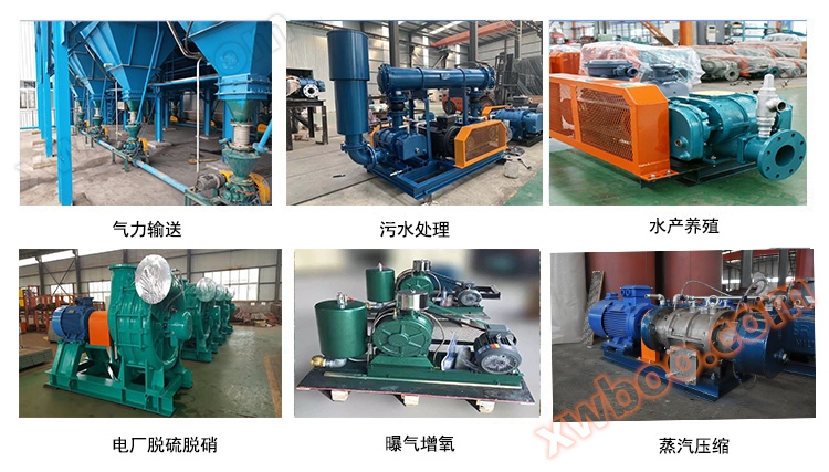 LGSR50V罗茨真空泵用途