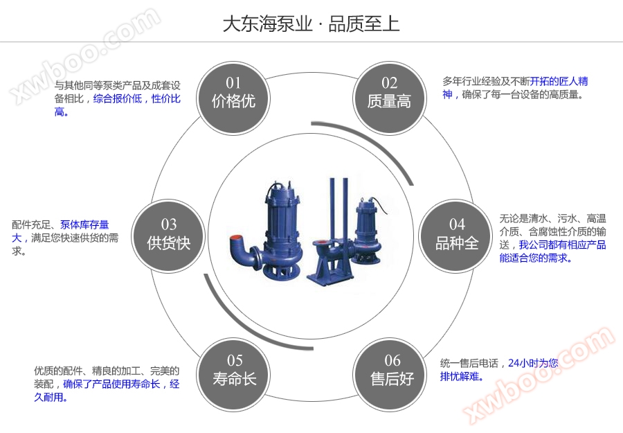 大东海泵业工程污水泵质量保证图