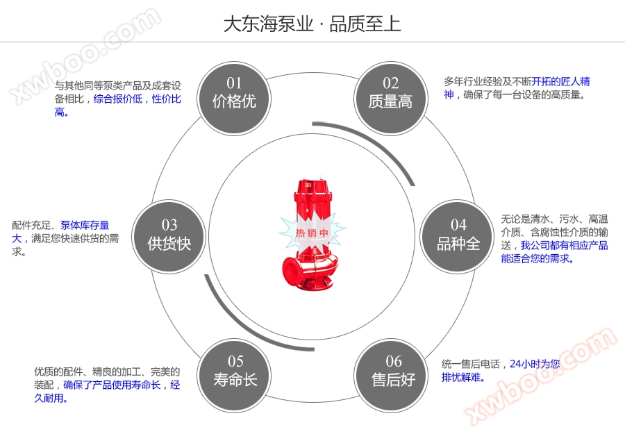 大东海泵业耐高温排污泵质量保证图