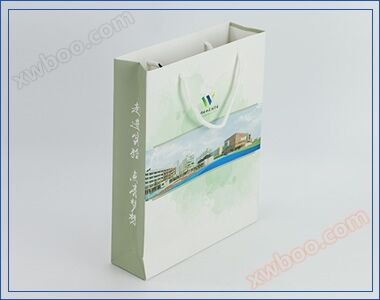 学校庆典白卡手提袋彩色印刷