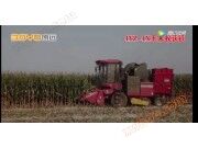 中农博远4YZ-4X玉米收获机作业视频