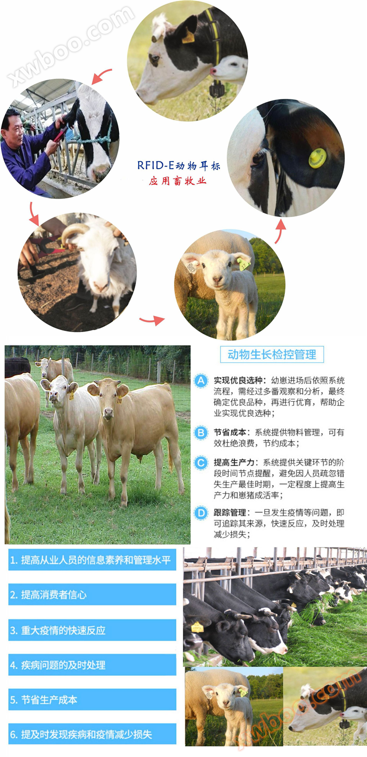 EM4305植入式动物标签注射器