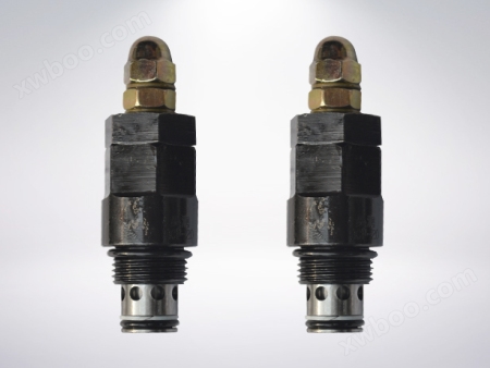 DL20 safety valve