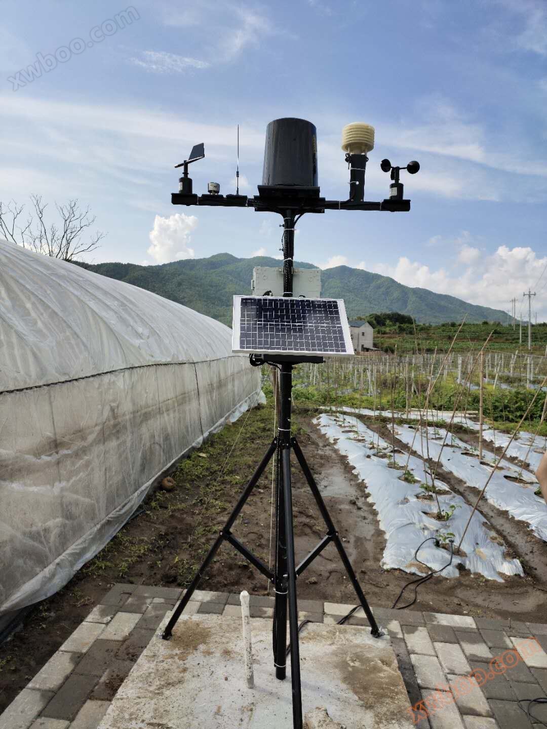Automatische Wetterstationen - Preise - Parameter - Bilder