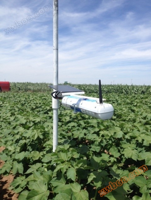 SapIP-IRT draadloos infrarood bladtemperatuurbewakingsnetwerk