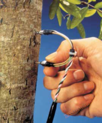 Dynamax Plant Stem Flow Monitoring System