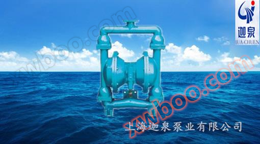 Cast iron pneumatic diaphragm pump