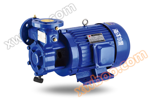 1W bomba de vórtice de conexão direta de estágio único