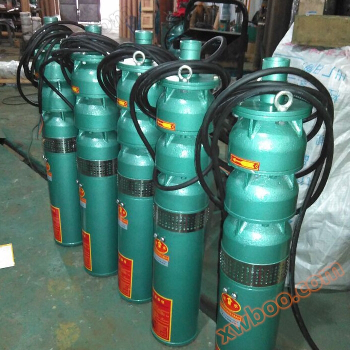 Pompe submersible QS remplie d'eau