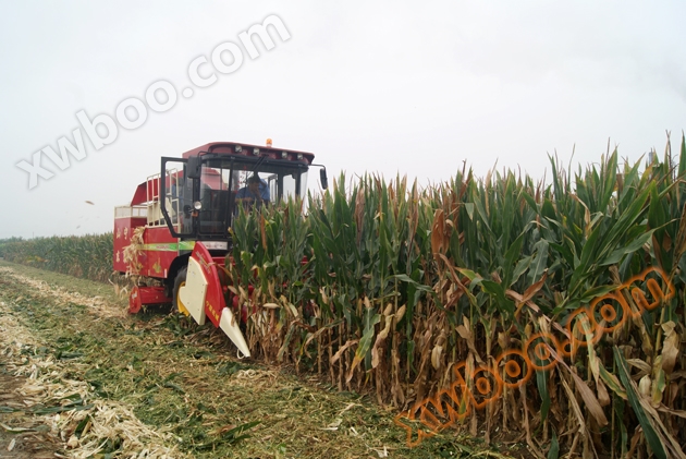 4YZP-5 самостійний кукурудзяний збірник (середній, шкіра, дроблення листя)