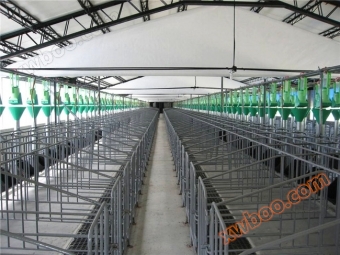 Автоматизована свинина лінія