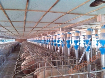 Dụng cụ nuôi lợn