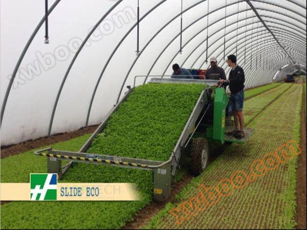 Máy thu hoạch rau lá tự hành cho máy nông nghiệp Trung Quốc