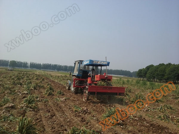 Sarımsak Hasat Makinesi Üreticileri