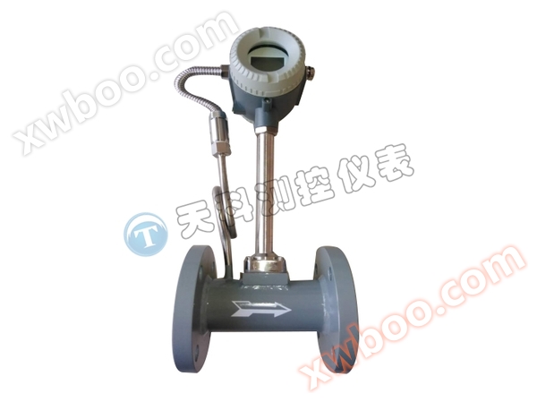 Flanschverbindung Vortex Street Durchflussmesser