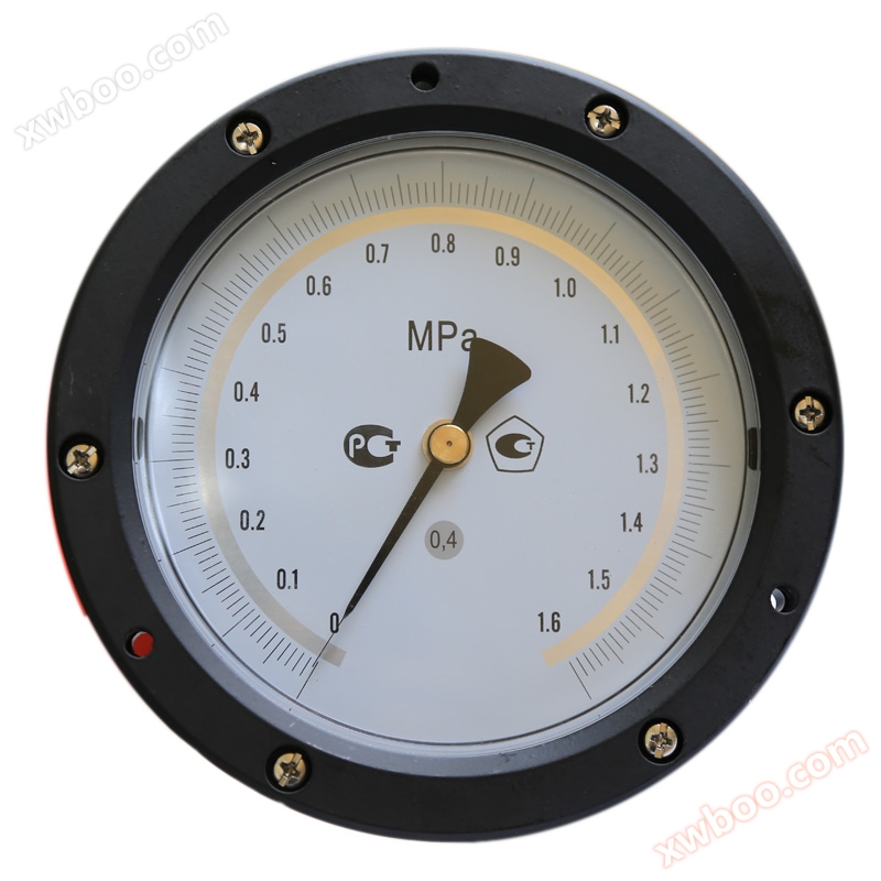 YTNB-150ZT series shock resistant precision pressure gauge