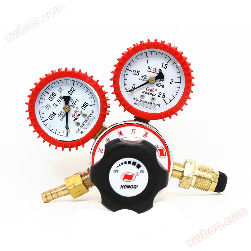 YQW-213 propane pressure reducer