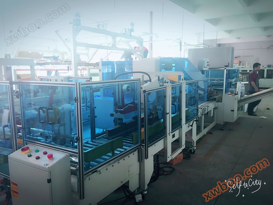 Voedingsmiddelenindustrie automatische zijduw verpakking verpakking stroomlijn