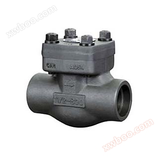 Forged steel lift check valve