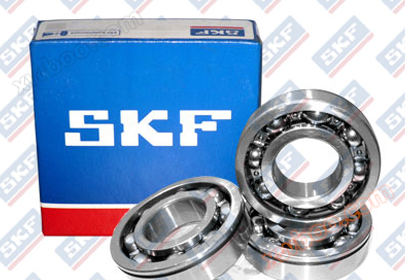 6304-2RS bearings