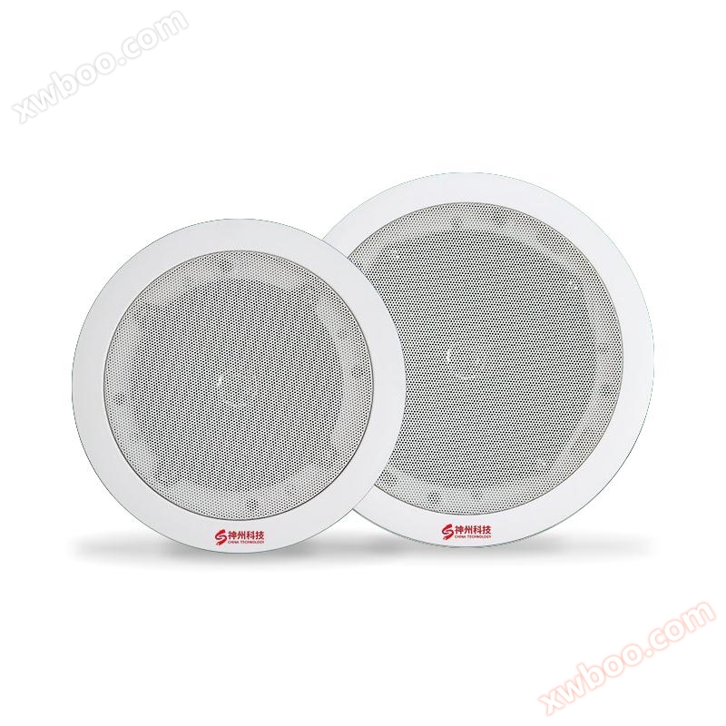 IP network ceiling speaker