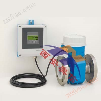 German E+H high-temperature resistant flowmeter P500 4-channel split electromagnetic flowmeter