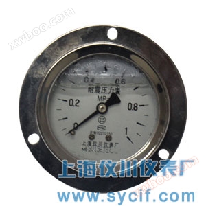 Manómetro antisísmico delantero con cinturón axial de acero inoxidable