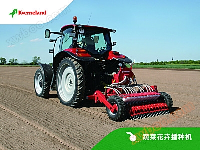 Gran vegetable and flower planter