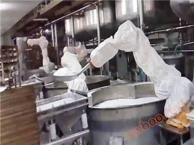 HAIJI maßgeschneiderte Roboter-Serie