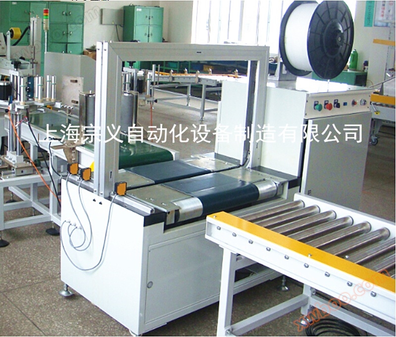 ZY-600APDD automatic packaging machine