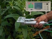 Corn photosynthesis analyzer