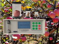 New fruit and vegetable respiration tester
