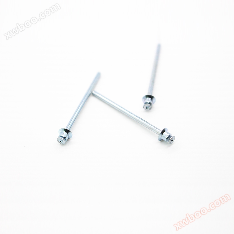 Double flat head rivets