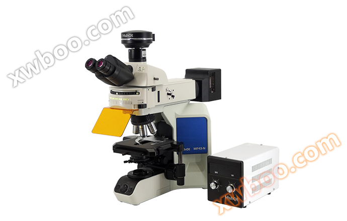 Mikroskop fluorescencyjny pozytywny klasy badawczej MF43-N