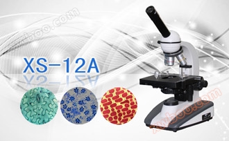 Monocular biological microscope XS-12A