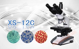 Three eye biological microscope XS-12C