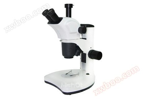 Stereoscopic microscope MZ101