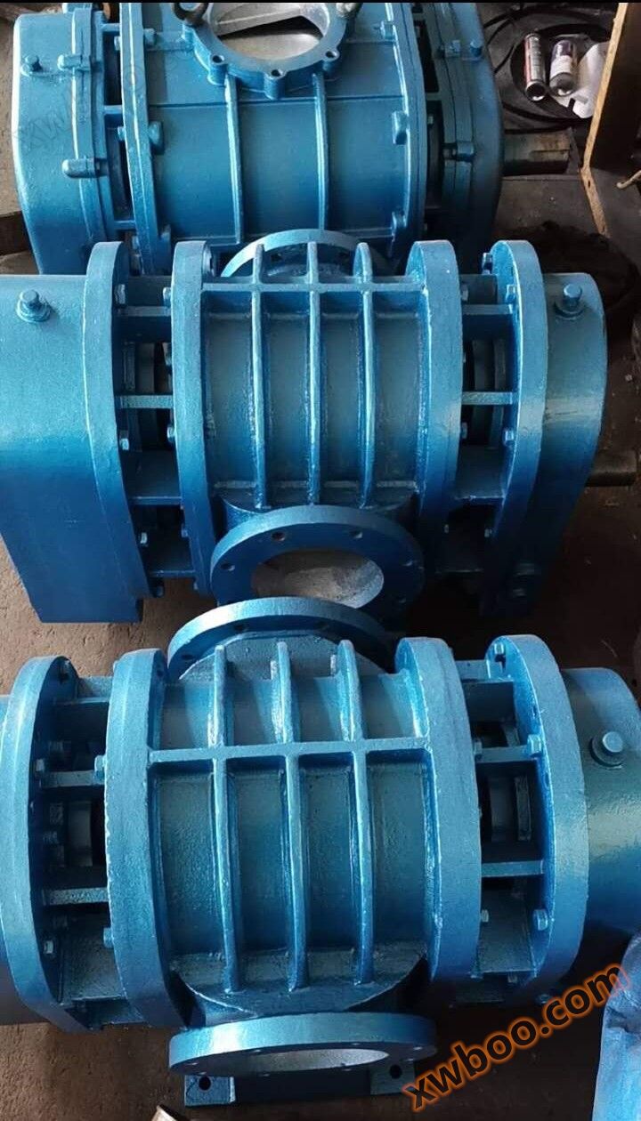 Two blade Roots blower