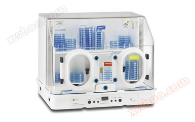 DG 250-コンパクト嫌気性ワークステーション