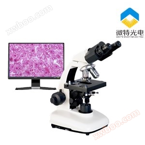 BM-160両眼生物顕微鏡