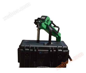 Portable gas chromatograph (GC-PID)