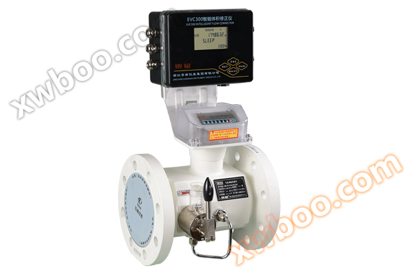 LWQ+EVC300 volumecorrectiemeter