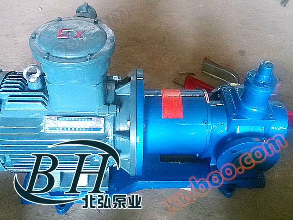YCB magnetic arc gear pump