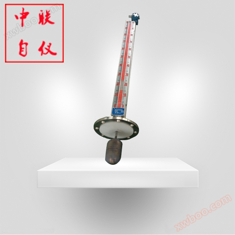 Remote top mounted magnetic flap level gauge