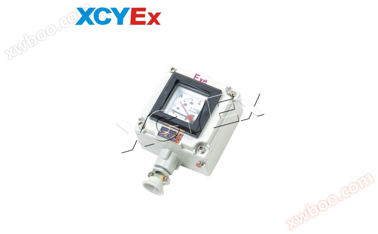 BYB series explosion-proof instruments (IIB/DIP)