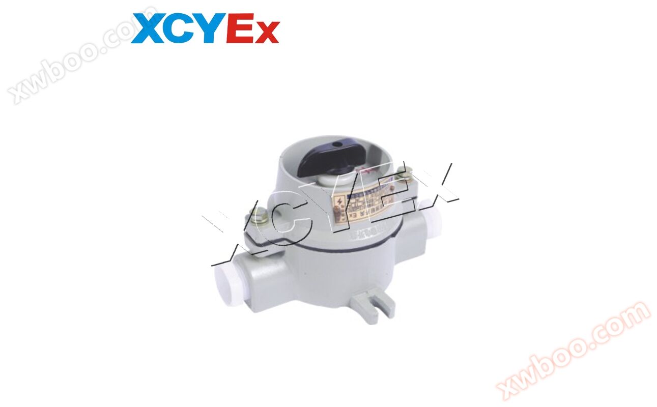 SW-10 series explosion-proof lighting switch (IIB/DIP)
